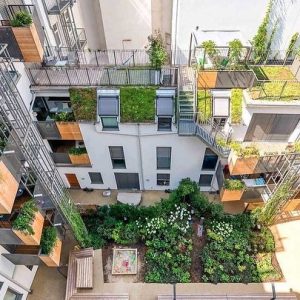 120528035_3383101471756735_5071372892977264359_n