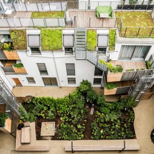 Courtyard 2_ARNDT88_Daneshgar Architects_Christopher Mavric