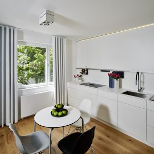 daneshgar-arch_nikolaigasse-kueche-1_c-mavric