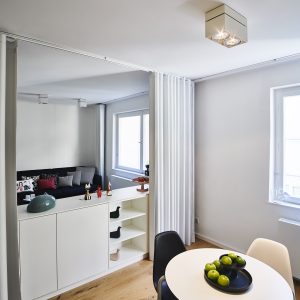 daneshgar-arch_nikolaigasse-wohnzimmer-kueche-1_c-mavric