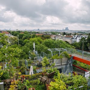 dr-murr_wissgrillg-10_c-mavric-13587 (2)