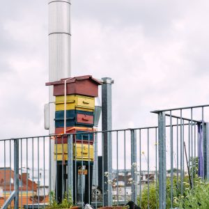 dr-murr_wissgrillg-10_c-mavric-13628 (2)